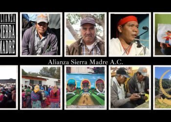 Cumple organización Alianza Sierra Madre 17 años de defensa de los derechos indígenas