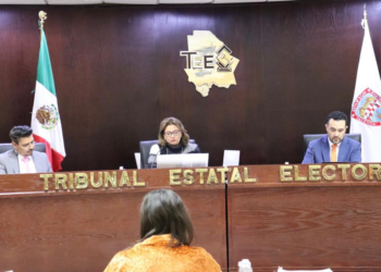 Incumplió ex diputada federal con requisitos para ocupar cargo dentro de asamblea municipal de Guadalupe y Calvo