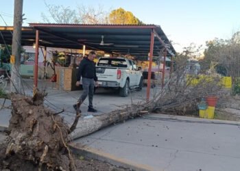 Tras fuertes vientos se registran; 30 espectaculares caídos, 7 tramos carreteros cerrados, 22 techos desprendidos