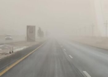 Mantiene Protección Civil pronóstico de vientos hasta de 75 kilómetros durante las próximas horas