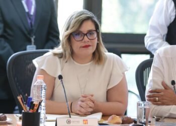 Rechaza PT marcha ciudadana, fue causa inventada: Lilia Aguilar