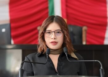 Cuestiona Jael Argüelles a la Secretaría de Salud sobre mortalidad infantil en municipios serranos