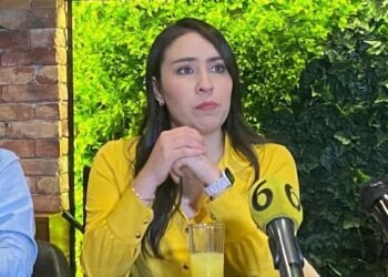 Defiende Nohemí Aguilar marcha ciudadana por la democracia del domingo