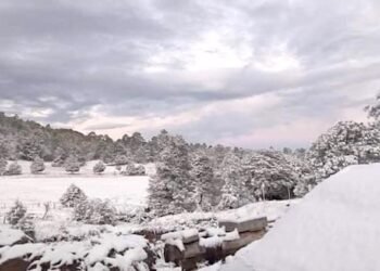 Alerta Protección Civil por posible caída de nieve y aguanieve en la Sierra Tarahumara