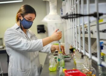 Participa UACH en Diplomado en materia de perspectiva de género en conjunto con la Embajada Francesa