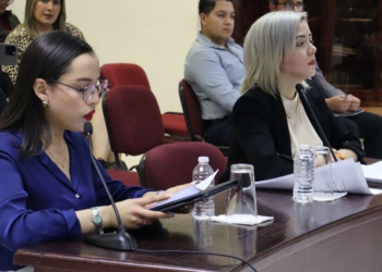 Coordinador de Morena cometió violencia política contra Presidenta del Congreso del Estado: TEE