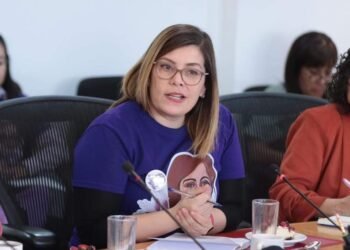 Lamentable que le teman más a las mujeres que a los feminicidas: Diputada Federal del PT