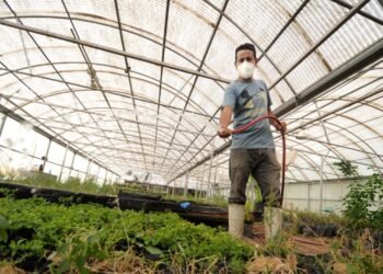 Será UACH sede del 48º Congreso Mexicano de la Ciencia del Suelo