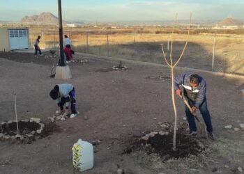Promueven cuidado ambiental e identidad escolar con proyecto ecológico en telesecundaria de Aquiles Serdán