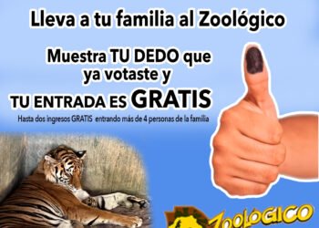 Invita Zoológico de Chihuahua a votar y entrar gratis el domingo, presenta tu dedo entintado