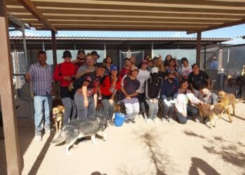 Se une Plantel 6 del COBACH a campaña “De libros a ladridos”, en beneficio de perritos de la calle