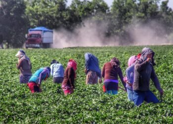Amplía Faciatec convocatoria de Concurso de Tesis