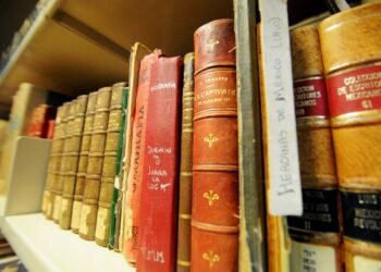 El nuevo rol de los bibliotecarios: Alfabetización Informacional