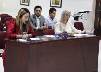 Ordena TEE elección extraordinaria de sindicatura de Ocampo; resuelven 38 asuntos