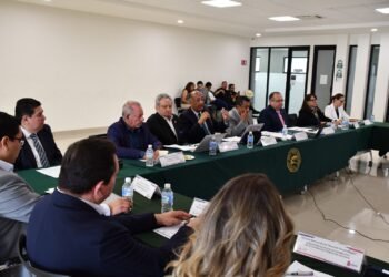 Analiza Coepes acciones y estrategias para la mejora del nivel Superior