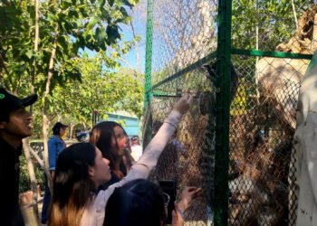 Conviven alumnos como parte de la formación escolar con animales de diferentes latitudes del mundo