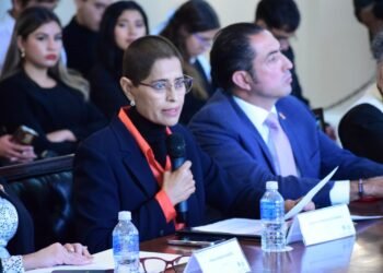 Emite regidora Patricia Ulate posicionamiento sobre violencia contra las mujeres