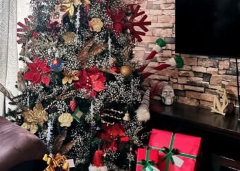 Recomienda especialista de la UACH prever gastos durante la actual temporada decembrina