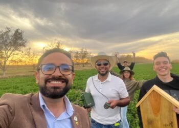 Desarrolla UACH refugio tecnológico para murciélagos