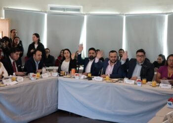 MORENA miente y violenta el Poder Judicial Democrático: América Aguilar Gil