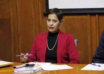 Becas para discapacidad, apoyo invaluable para muchas familias: regidora Patricia Ulate