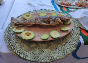 Preparan el Festival de la Trucha en Guachochi, inicia el domingo a las ocho horas