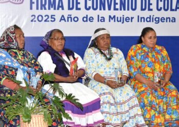 Impulsan gobiernos empoderamiento económico de mujeres indígenas: Joni Barajas