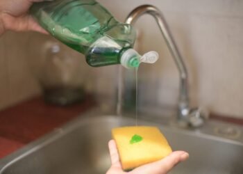 La UACH te dice cómo usar desinfectante en alimentos de forma segura en el hogar