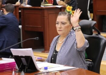 Declara INE procedente revisión de requisitos de elegibilidad de candidaturas en el PEEPJF