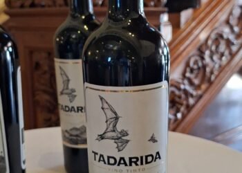 Presenta UACH edición especial del Vino Tadarida