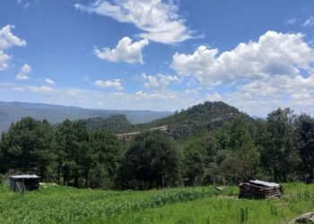 Reprueba Alianza Sierra Madre declaraciones de Mario Vázquez sobre reconocimiento comunal