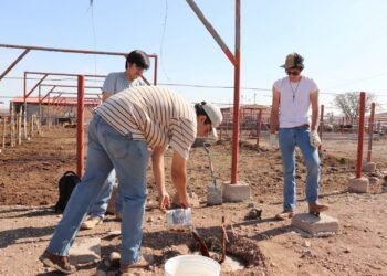 Realizan en la UACH Campaña de Reforestación