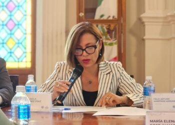 Propone Isela Martínez crear el Reglamento de Desarrollo y Fomento Económico