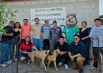 Estudiantes de la UTPN recolectan más de 300 kilos de croquetas  en beneficio de refugio de animales