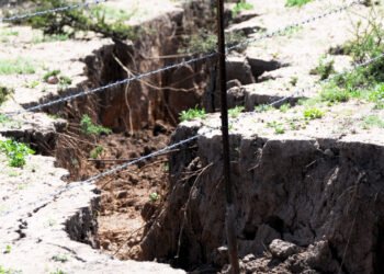 Impulsan en la UACH proyecto para restaurar suelos degradados en el desierto chihuahuense