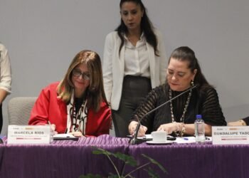 Firman INE e IDEA Internacional Memorando de entendimiento para reforzar colaboración en materia electoral