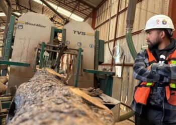 UACH será sede del XVII Congreso Mexicano de Recursos Forestales