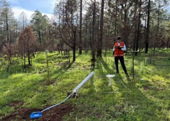 Investigador de la UACH lidera proyecto forestal en el sureste de Chihuahua