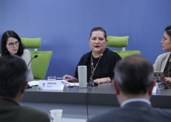 Participa Guadalupe Taddei en el seminario “Reforma Electoral ¿Hacia dónde ir?” organizado por el IIJ-UNAM