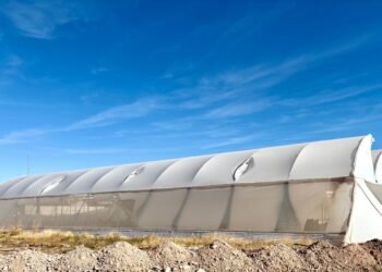 Inicia rehabilitación de invernaderos en la UT Paquimé, con apoyo gubernamental