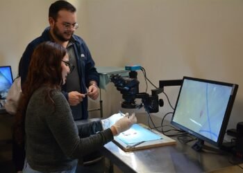 Inteligencia artificial en la medicina: herramienta de apoyo, no sustituto del médico