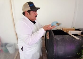 Docentes de la UACH desarrollan alternativa para la revalorización de residuos orgánicos