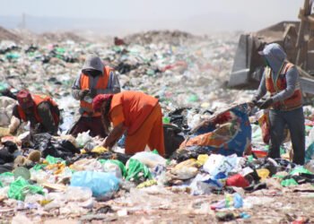 ¿Qué son los bioplásticos y cómo ayudan al medio ambiente? Investigador UACH lo explica