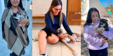 Fomenta UT Paso del Norte adopción responsable y bienestar animal entre su comunidad universitaria