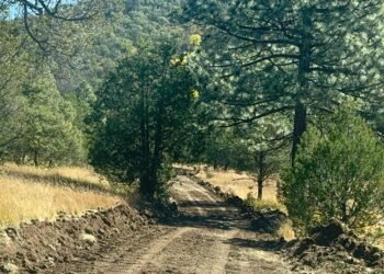 Rehabilitan caminos en el Rancho Experimental Teseachi – UACH