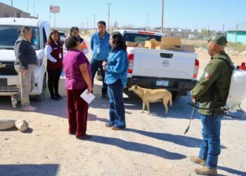 Refuerzan Jael Argüelles y Ecología fumigación en el kilómetro 29 ante riesgo de rickettsiosis