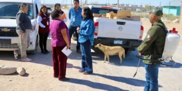Refuerzan Jael Argüelles y Ecología fumigación en el kilómetro 29 ante riesgo de rickettsiosis