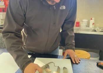 Resguarda FZyE-UACH colección de 4,800 plantas en su Herbario Científico