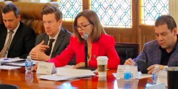 Exige Isela Martínez a la Federación frenar persecusión fiscal a asociaciones civiles