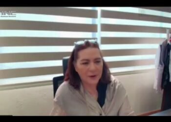 Llama Guadalupe Taddei a construir una democracia plena, incluyente y libre de violencia contra las mujeres